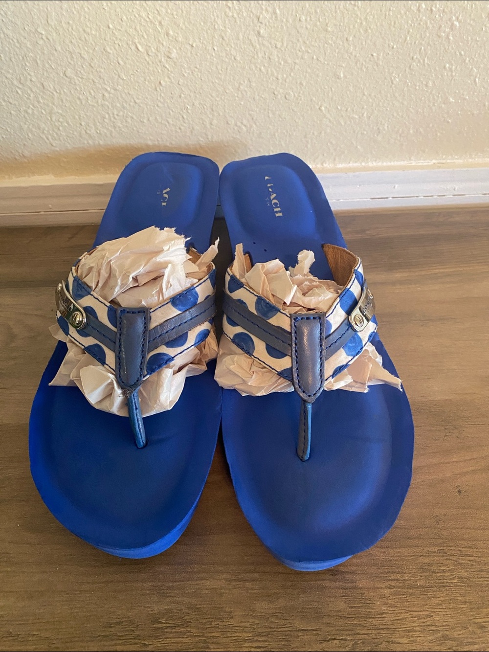 Coach Blue Thong Sandals with Beige Ruffle and Polka-Dot Straps